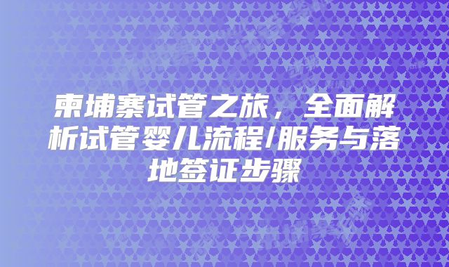 柬埔寨试管之旅，全面解析试管婴儿流程/服务与落地签证步骤