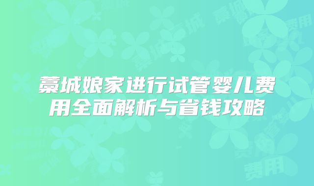 藁城娘家进行试管婴儿费用全面解析与省钱攻略
