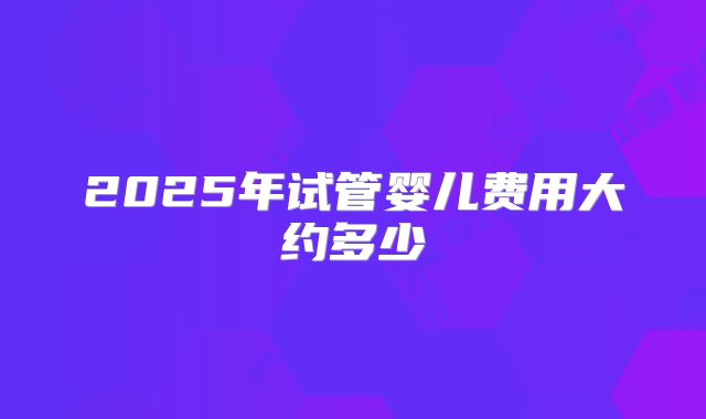 2025年试管婴儿费用大约多少