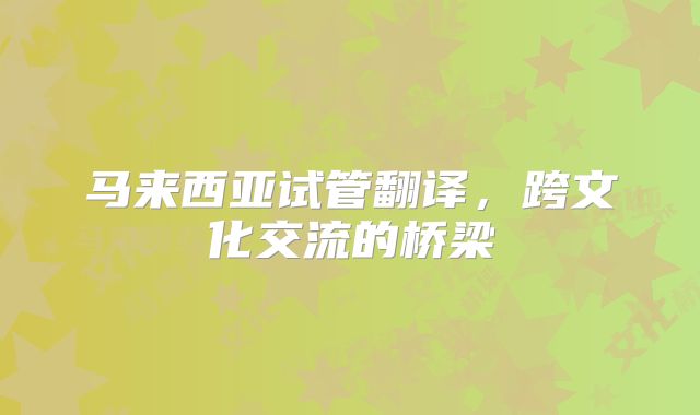 马来西亚试管翻译，跨文化交流的桥梁