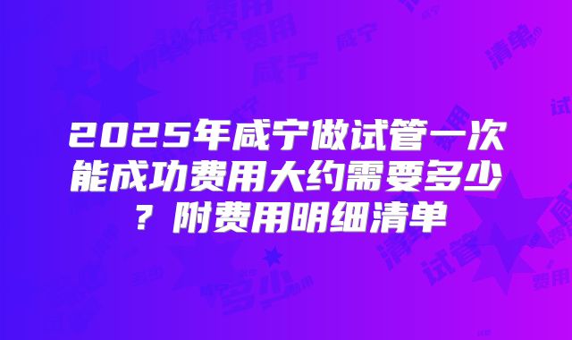 2025年咸宁做试管一次能成功费用大约需要多少?附费用明细清单