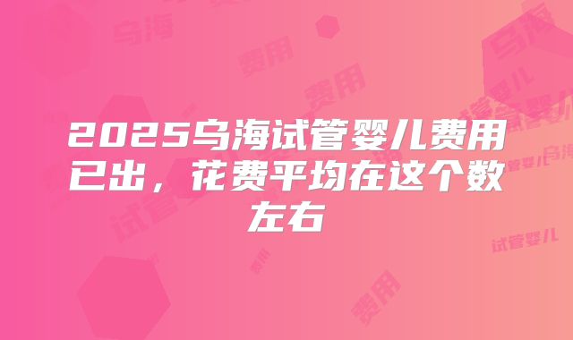 2025乌海试管婴儿费用已出,花费平均在这个数左右