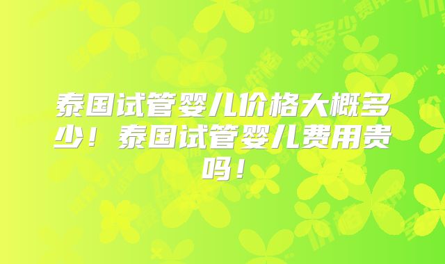 泰国试管婴儿价格大概多少!泰国试管婴儿费用贵吗!