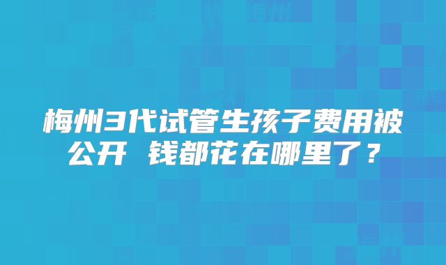 梅州3代试管生孩子费用被公开 钱都花在哪里了?