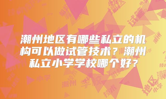 潮州地区有哪些私立的机构可以做试管技术?潮州私立小学学校哪个好?