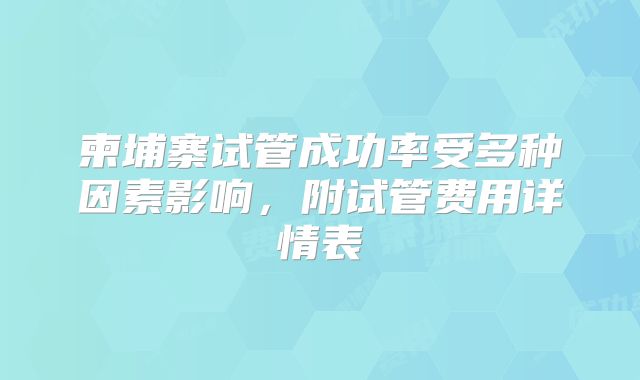 柬埔寨试管成功率受多种因素影响,附试管费用详情表