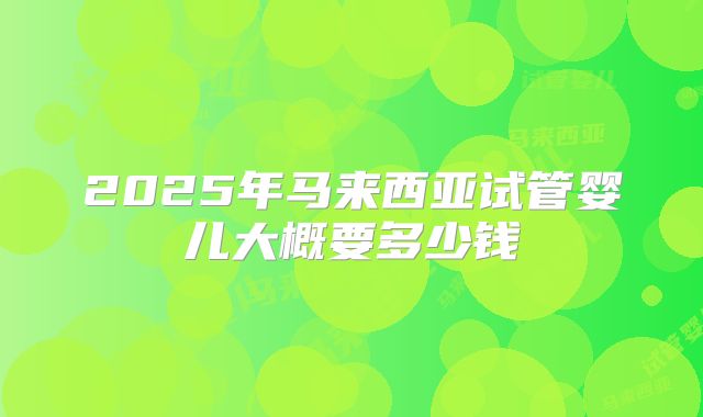 2025年马来西亚试管婴儿大概要多少钱