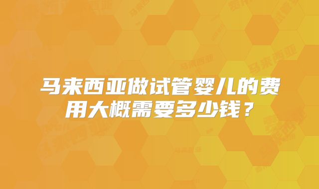 马来西亚做试管婴儿的费用大概需要多少钱?