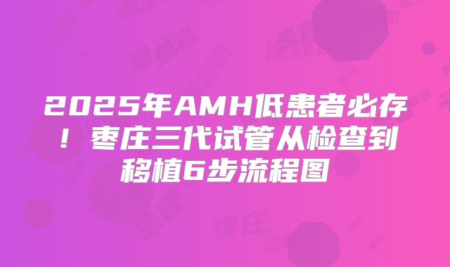 2025年AMH低患者必存!枣庄三代试管从检查到移植6步流程图