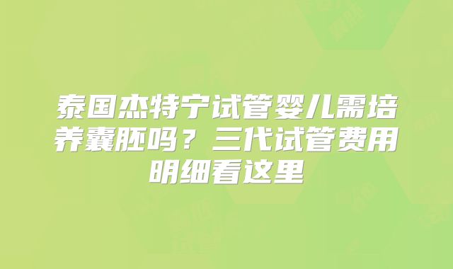 泰国杰特宁试管婴儿需培养囊胚吗？三代试管费用明细看这里