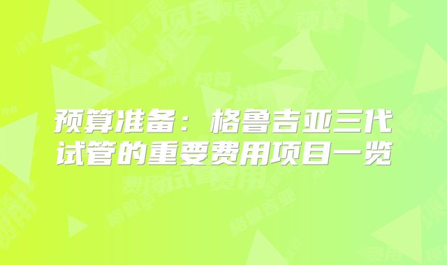 预算准备:格鲁吉亚三代试管的重要费用项目一览