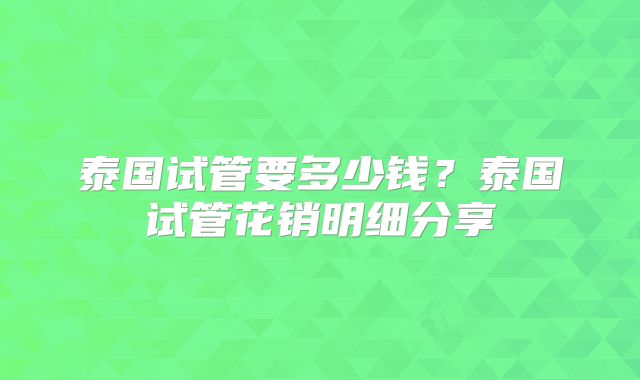 泰国试管要多少钱?泰国试管花销明细分享