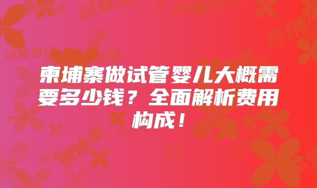 柬埔寨做试管婴儿大概需要多少钱?全面解析费用构成!