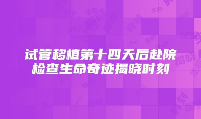 试管移植第十四天后赴院检查生命奇迹揭晓时刻