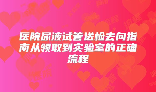 医院尿液试管送检去向指南从领取到实验室的正确流程