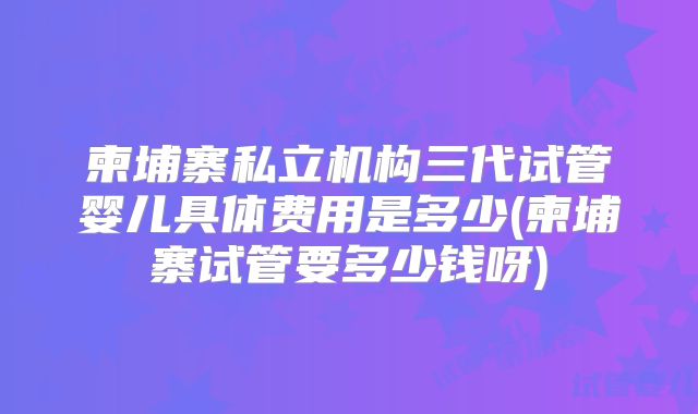 柬埔寨私立机构三代试管婴儿具体费用是多少(柬埔寨试管要多少钱呀)