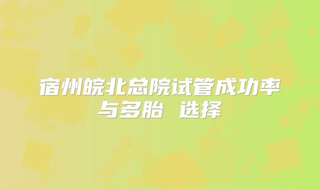 宿州皖北总院试管成功率与多胎 选择