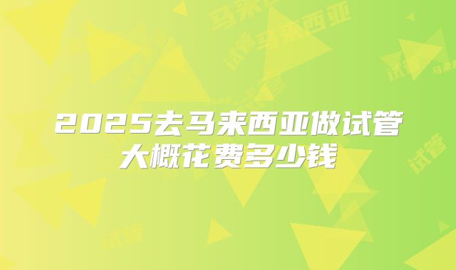 2025去马来西亚做试管大概花费多少钱