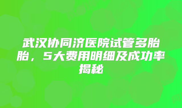 武汉协同济医院试管多胎胎，5大费用明细及成功率揭秘