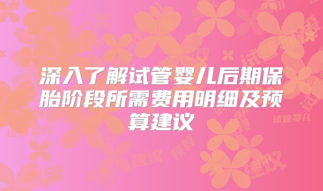 深入了解试管婴儿后期保胎阶段所需费用明细及预算建议