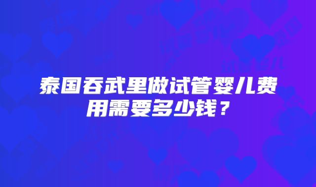泰国吞武里做试管婴儿费用需要多少钱?