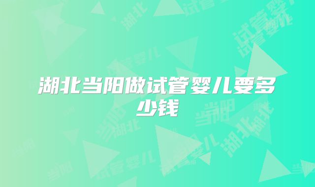 湖北当阳做试管婴儿要多少钱