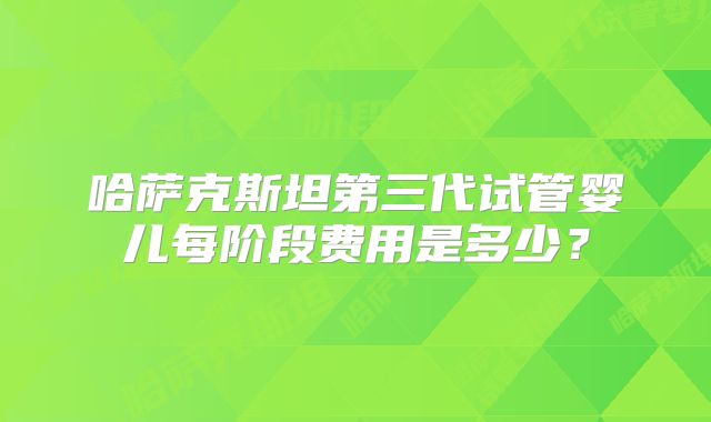 哈萨克斯坦第三代试管婴儿每阶段费用是多少?