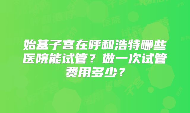 始基子宫在呼和浩特哪些医院能试管？做一次试管费用多少？