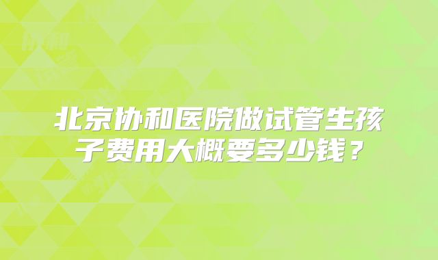 北京协和医院做试管生孩子费用大概要多少钱?