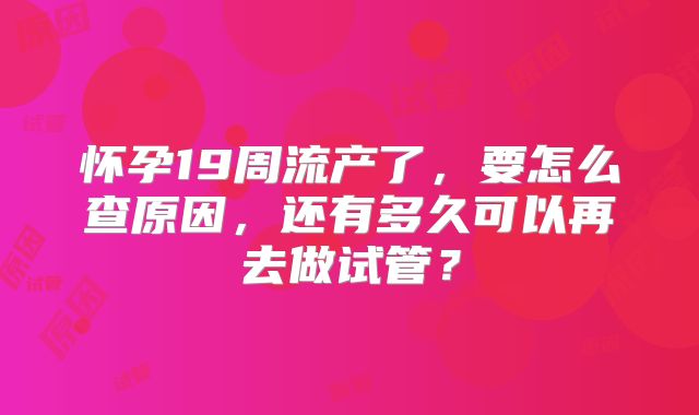 怀孕19周流产了，要怎么查原因，还有多久可以再去做试管？