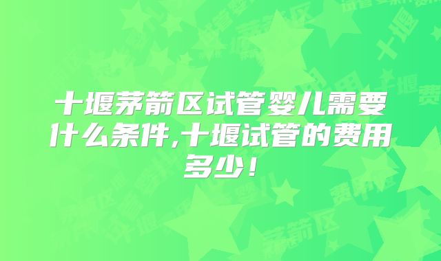 十堰茅箭区试管婴儿需要什么条件,十堰试管的费用多少!
