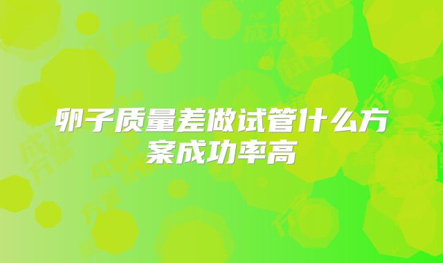 卵子质量差做试管什么方案成功率高
