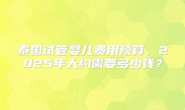 泰国试管婴儿费用预算，2025年大约需要多少钱？