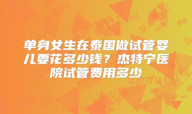 单身女生在泰国做试管婴儿要花多少钱?杰特宁医院试管费用多少