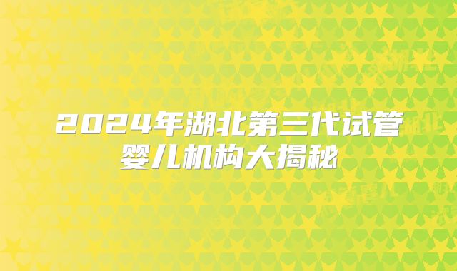 2024年湖北第三代试管婴儿机构大揭秘