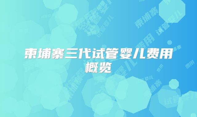 柬埔寨三代试管婴儿费用概览