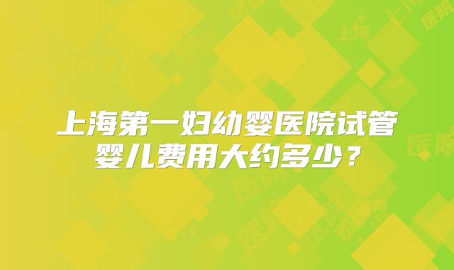 上海第一妇幼婴医院试管婴儿费用大约多少？