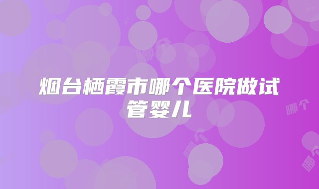 烟台栖霞市哪个医院做试管婴儿