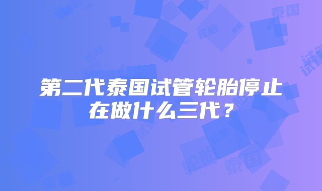 第二代泰国试管轮胎停止在做什么三代?