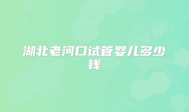 湖北老河口试管婴儿多少钱