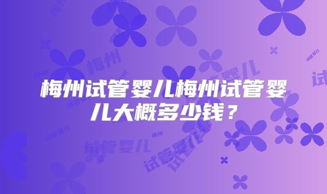 梅州试管婴儿梅州试管婴儿大概多少钱?