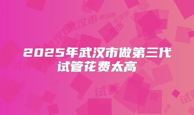 2025年武汉市做第三代试管花费太高