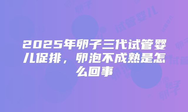 2025年卵子三代试管婴儿促排,卵泡不成熟是怎么回事