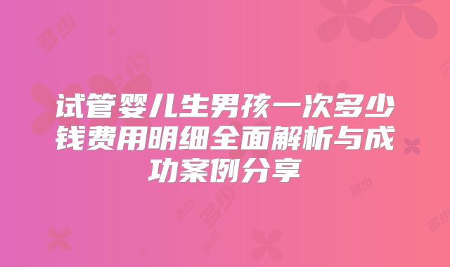 试管婴儿生男孩一次多少钱费用明细全面解析与成功案例分享