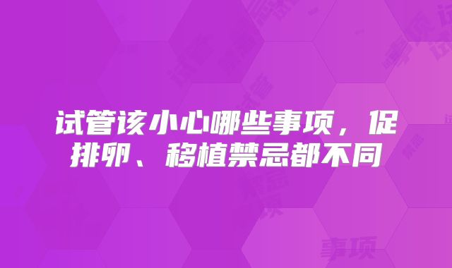 试管该小心哪些事项,促排卵、移植禁忌都不同