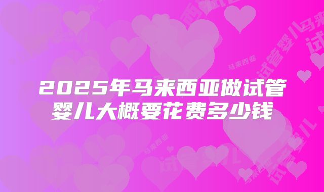 2025年马来西亚做试管婴儿大概要花费多少钱