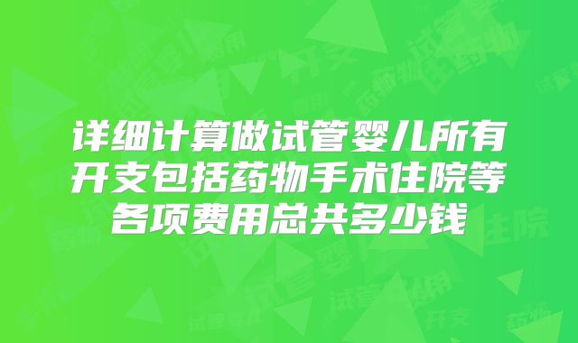 详细计算做试管婴儿所有开支包括药物手术住院等各项费用总共多少钱