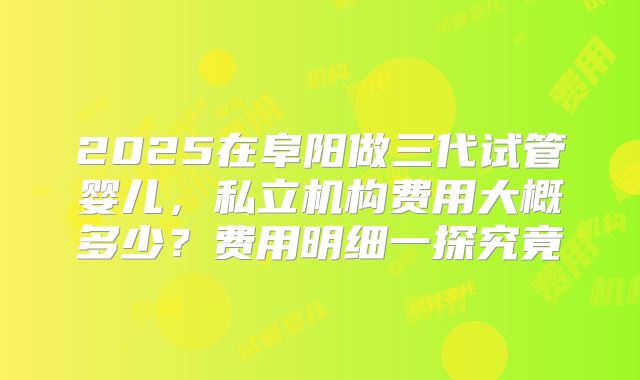 2025在阜阳做三代试管婴儿,私立机构费用大概多少?费用明细一探究竟