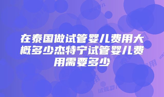 在泰国做试管婴儿费用大概多少杰特宁试管婴儿费用需要多少