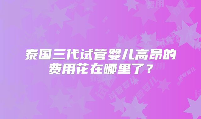 泰国三代试管婴儿高昂的费用花在哪里了？